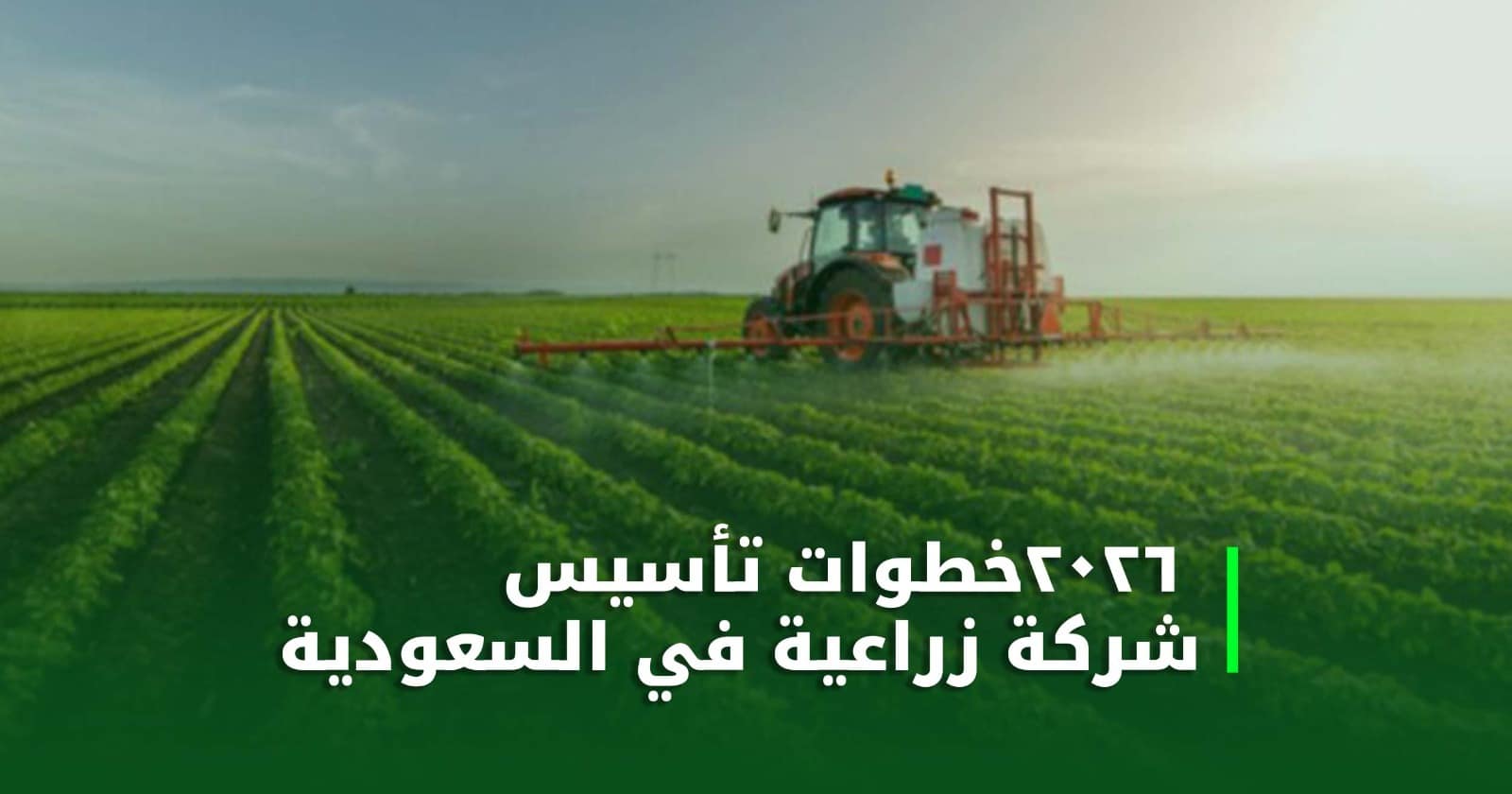 شركة زراعية في السعودية